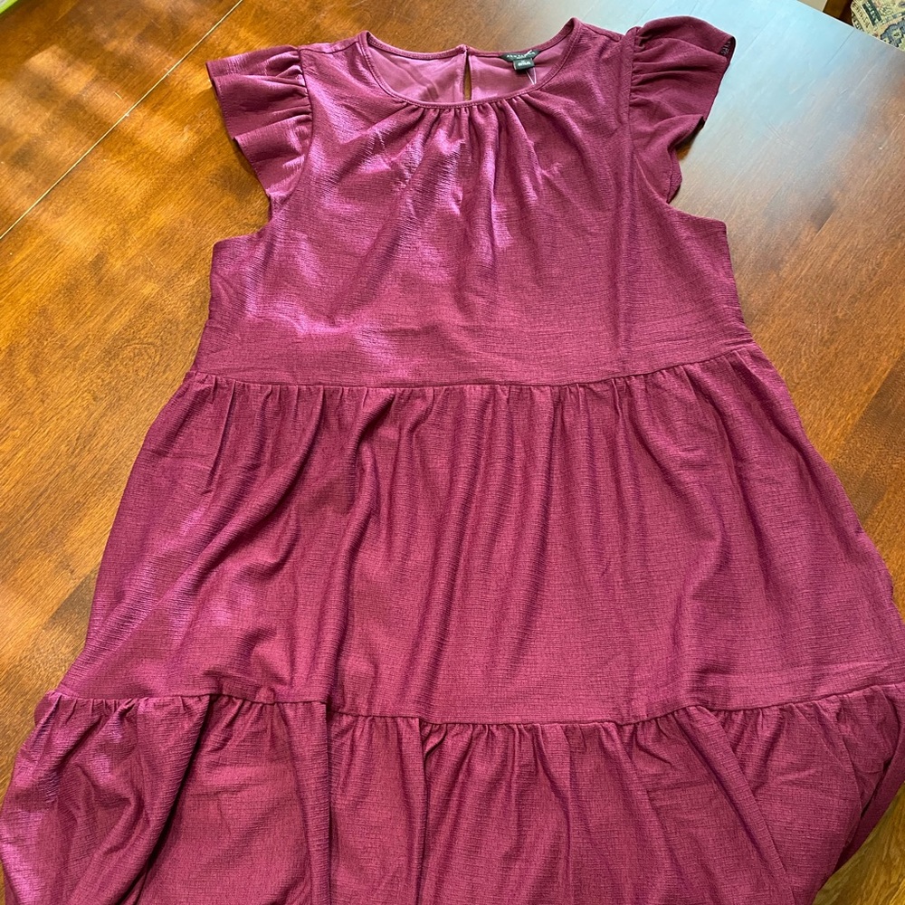 NWT Ann Taylor Petite Dress with Pockets